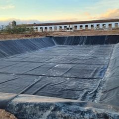 IMG-20231020-WA0049 - copia